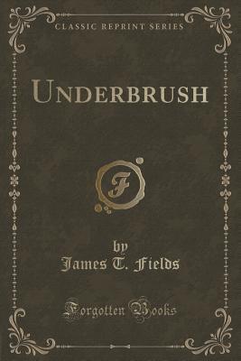 Underbrush