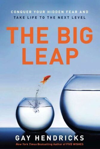 The Big Leap: Conquer Your Fears and Take Life to the Next Level
