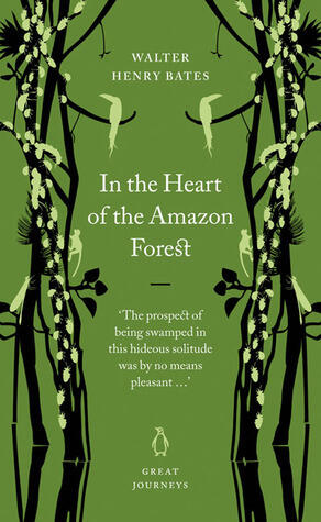 In the Heart of the Amazon Forest