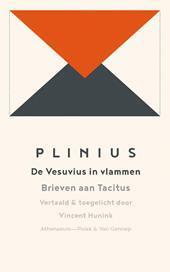 De Vesuvius in vlammen