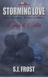 Storming Love: One Storm, Twelve Men