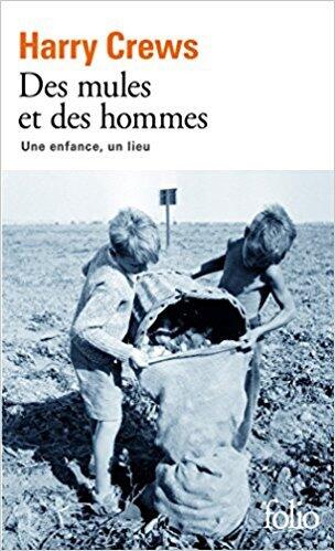Des mules et des hommes: Une enfance, un lieu