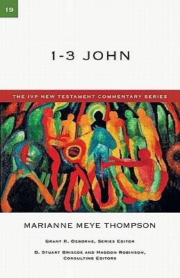 1-3 John: A Commentary on the New Testament (Volume 19)