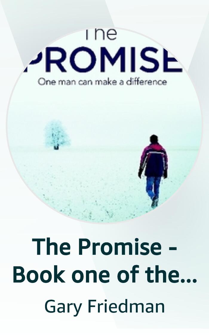 The Promise - Book one of the Shepherd Chronicles