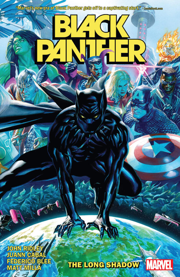 Black Panther (2021)