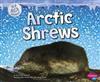 Arctic Shrews