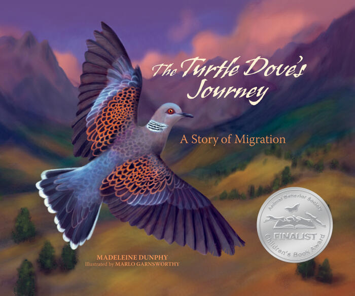 The Turtle Dove's Journey