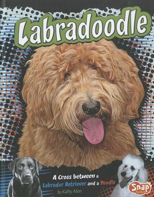 Labradoodle: A Cross between a Labrador Retriever and a Poodle