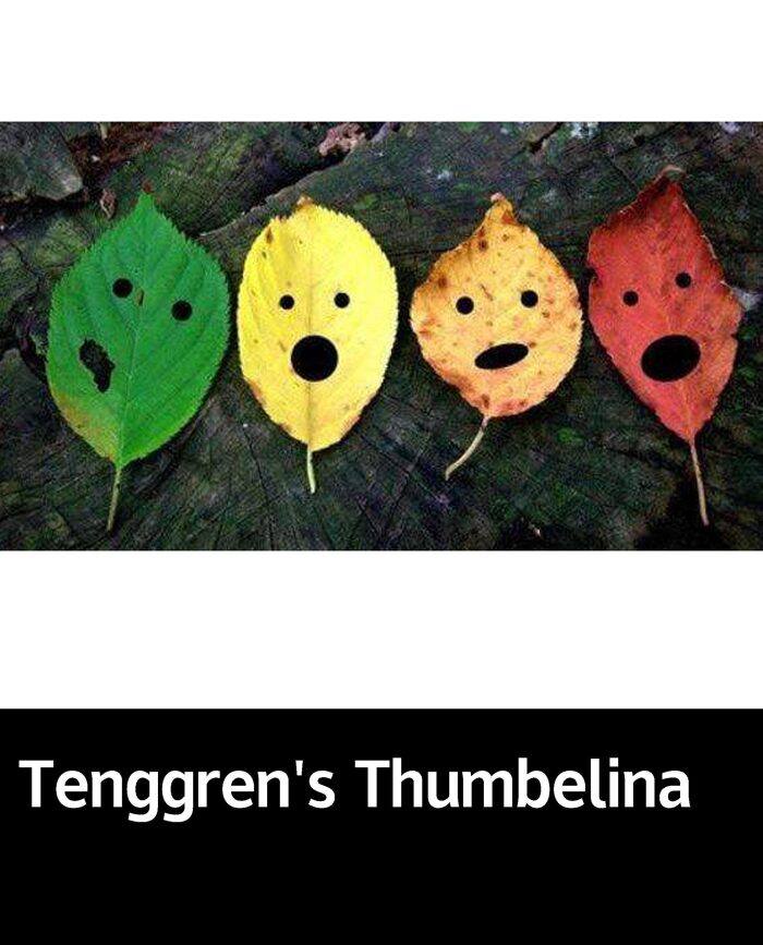 Tenggren's Thumbelina: Picture book of children's growth