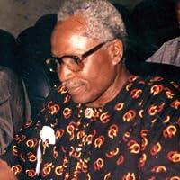 Elechi Amadi