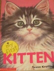 My first kitten
