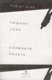 Тишина сред снежните полета