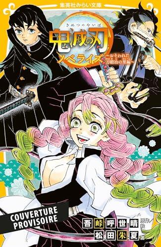 Coffret Demon Slayer T12 + Roman jeunesse T05