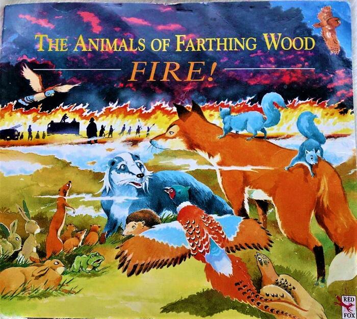 Fire