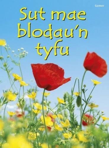 Cyfres Dechrau Da: Sut Mae Blodau'n Tyfu?