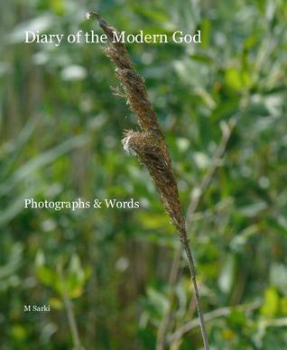 Diary of the Modern God