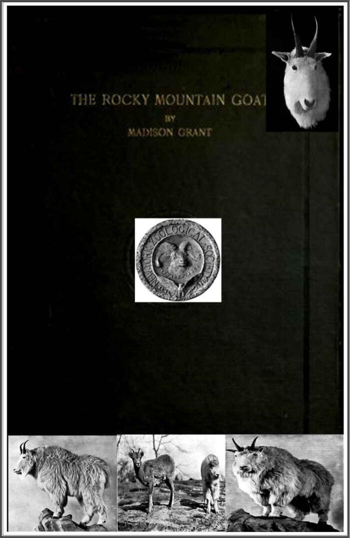 The Rocky Mountain Goat (Illustrated): The mountain goat (Oreamnos americanus), also known as the Rocky Mountain goat, is a large-hoofed mammal found only in North America.