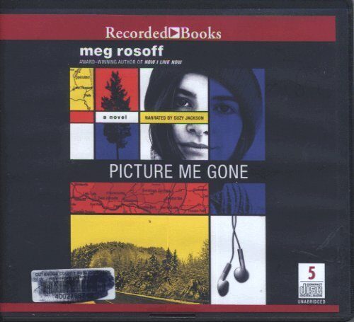 Picture Me Gone