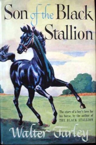 Son of the Black Stallion