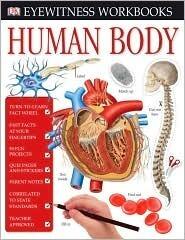 Human Body