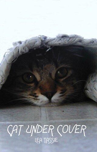 Cat Under Cover