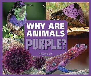Rainbow of Animals