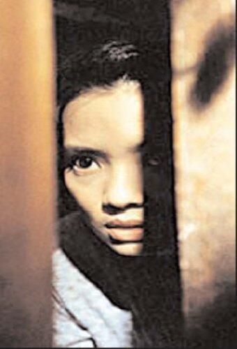 Theorising National Cinema