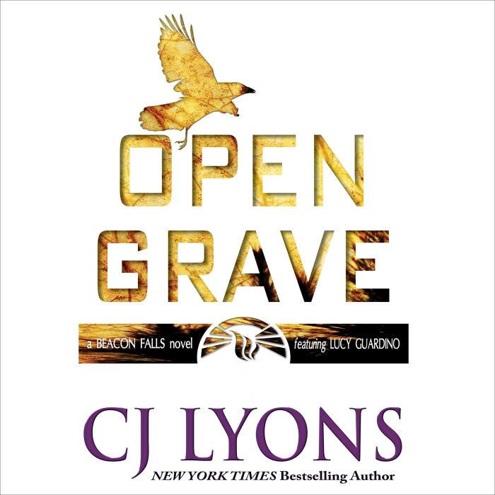 Open Grave: A Beacon Falls Cold Case Mystery: Lucy Guardino Thrillers, Book 9
