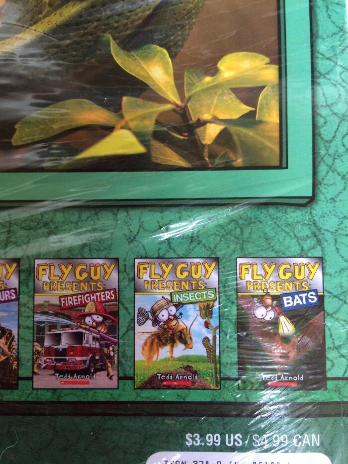 Fly Guy Presents 4 Book Set: Fly Guy Presents Dinosaurs, Fly Guy Presents Space, Fly Guy Presents Sh