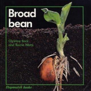 Stopwatch: Broad Bean