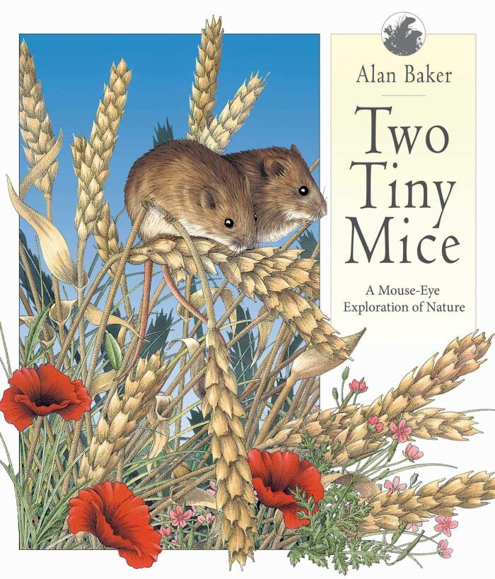 Two Tiny Mice: A Mouse-Eye Exploration of Nature