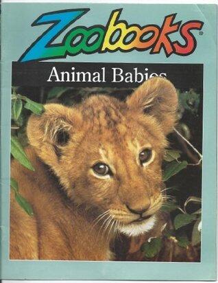 Animal Babies