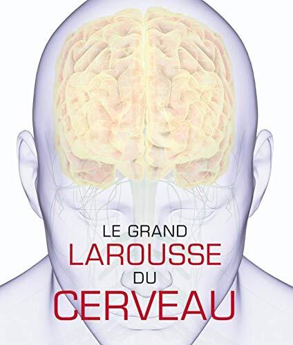 le grand Larousse du cerveau