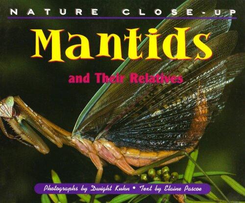 Mantids and their Relatives