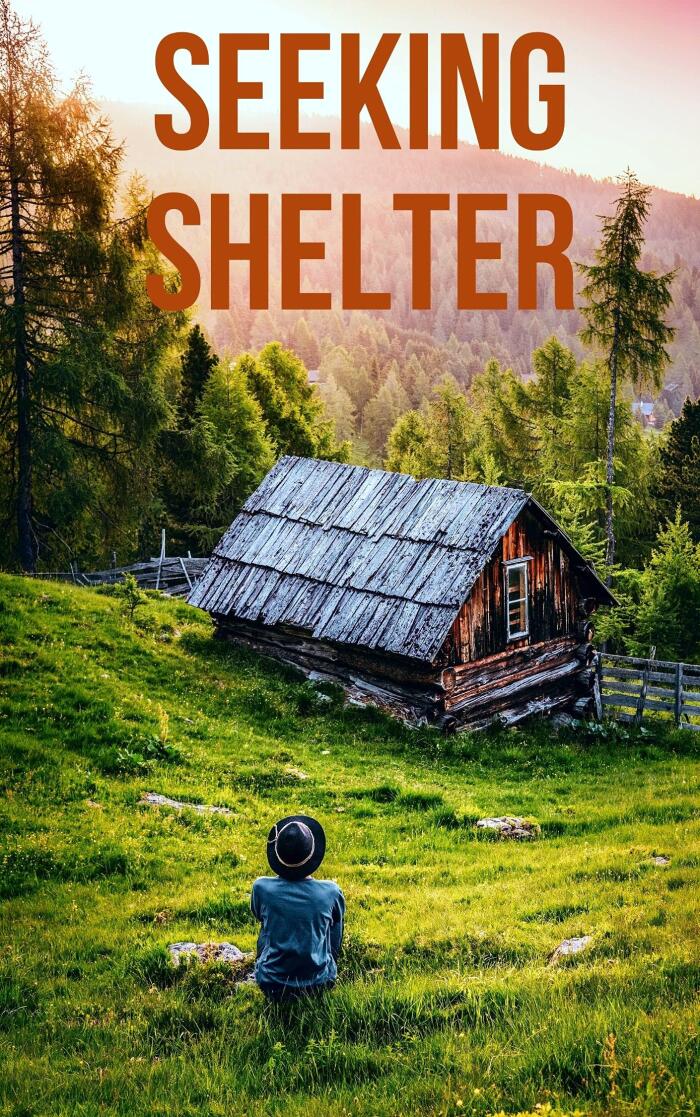 Seeking Shelter