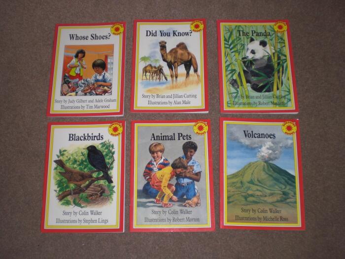 Non-fiction: Set B Group Pack: Levels 2-5