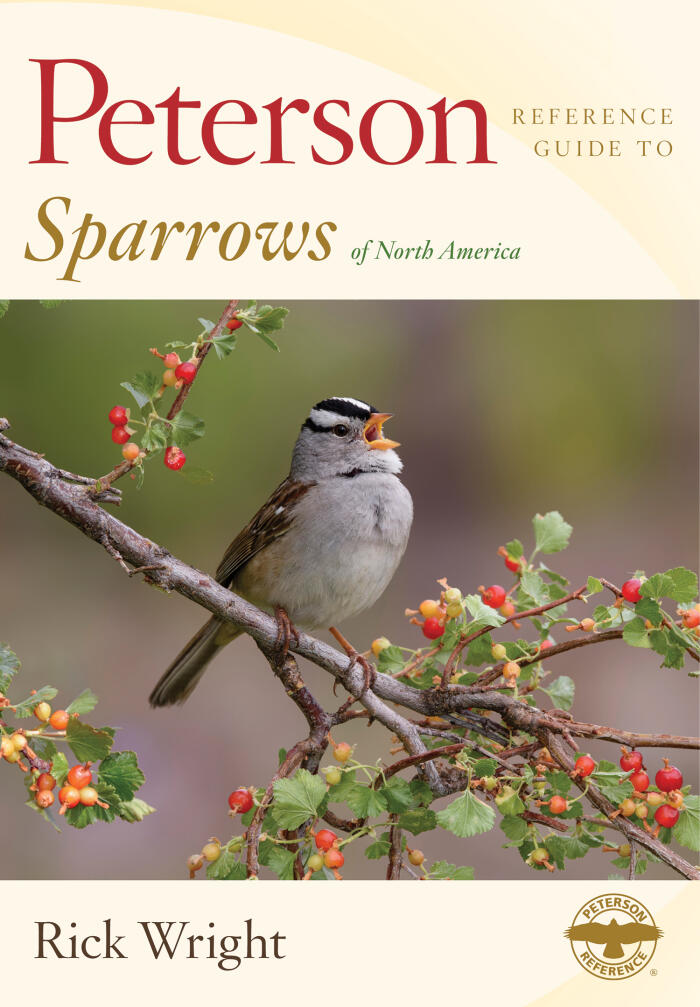 Peterson Reference Guide To Sparrows Of North America