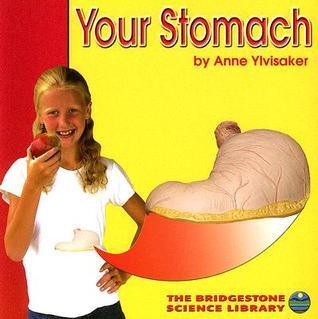 Your Stomach
