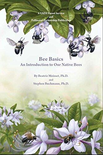 Bee Basics : An Introduction to Our Native Bees