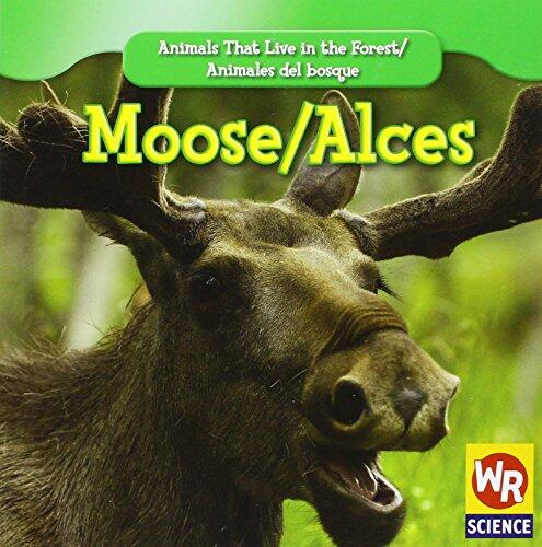 Moose (Alces) (Animals That Live in the Forest)