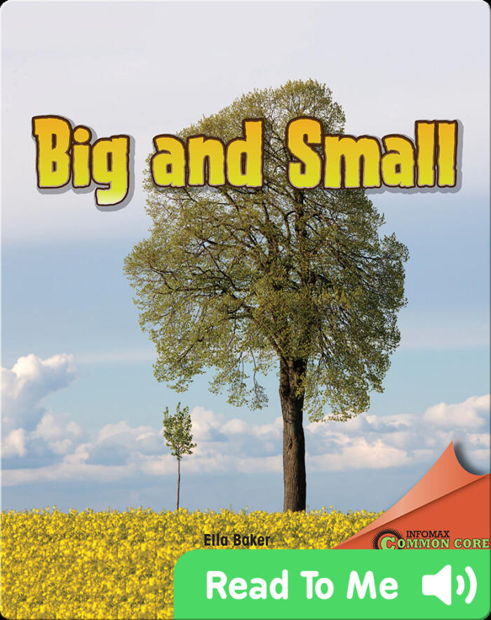 Big and Small