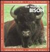 The Wonder of Bison