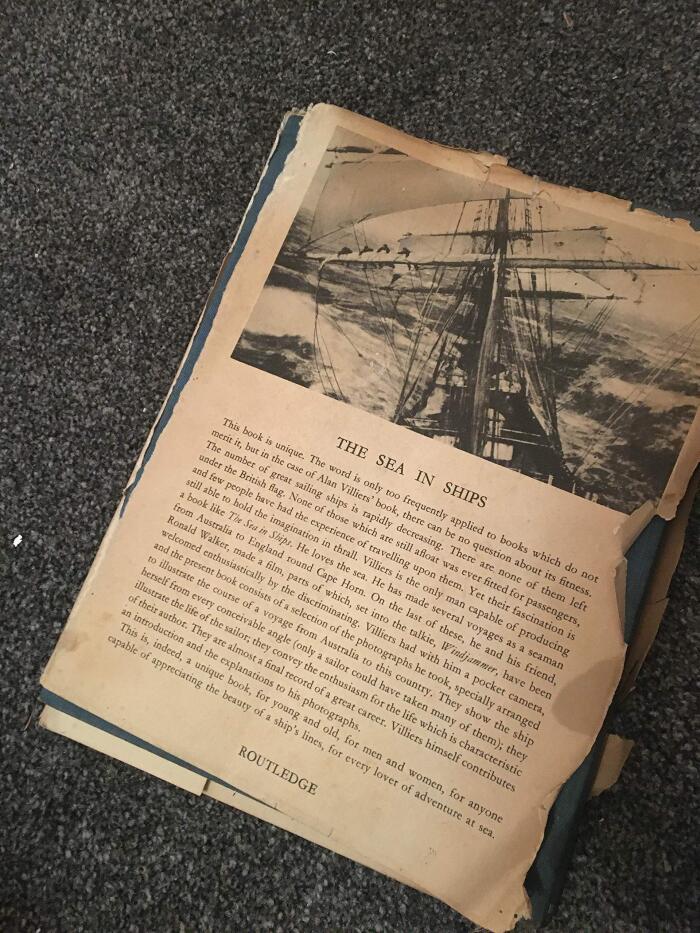 The sea in ships: The story of a sailing ship's voyage round Cape Horn
