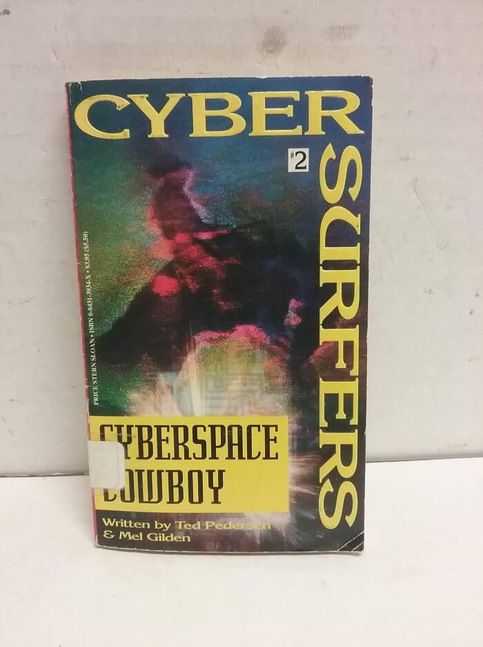 Cyberspace Cowboy