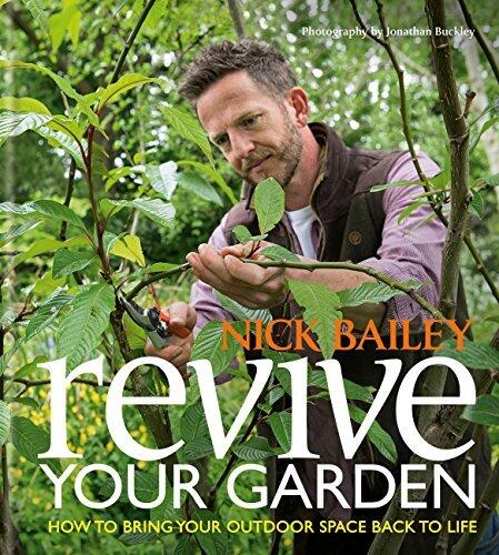 Revive Your Garden: How to Bring Your Outdoor Space Back to Life