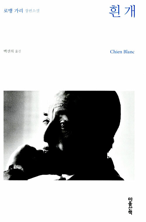 흰 개