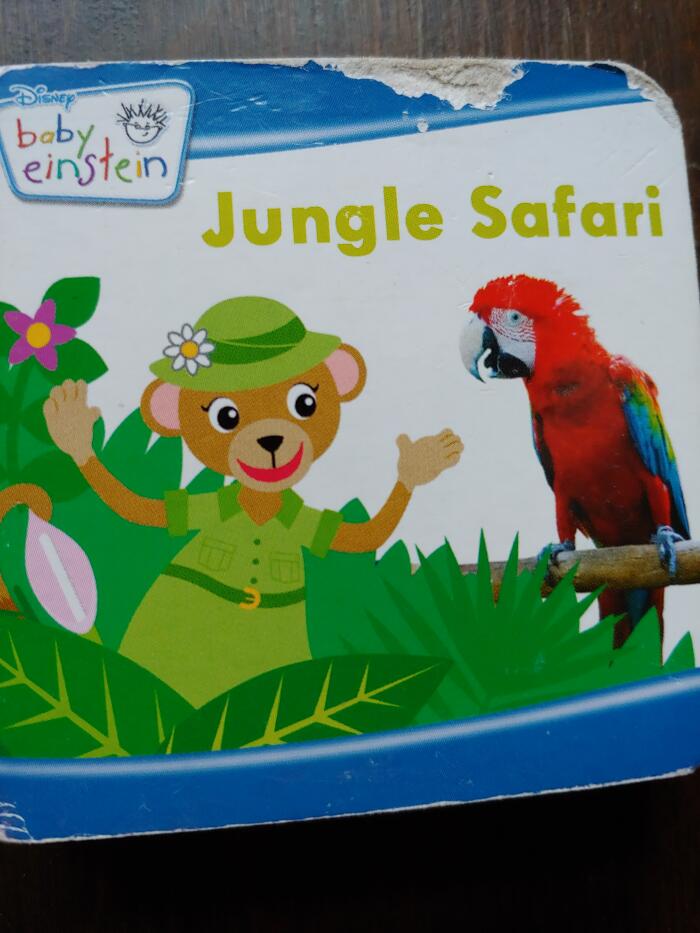 Jungle Safari