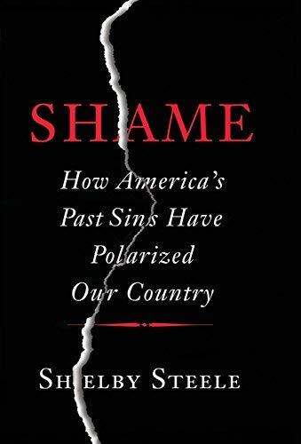 Shame: How America's Past Sins Have Polarized Our Country