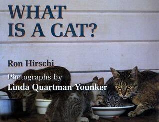 What Is a Cat?