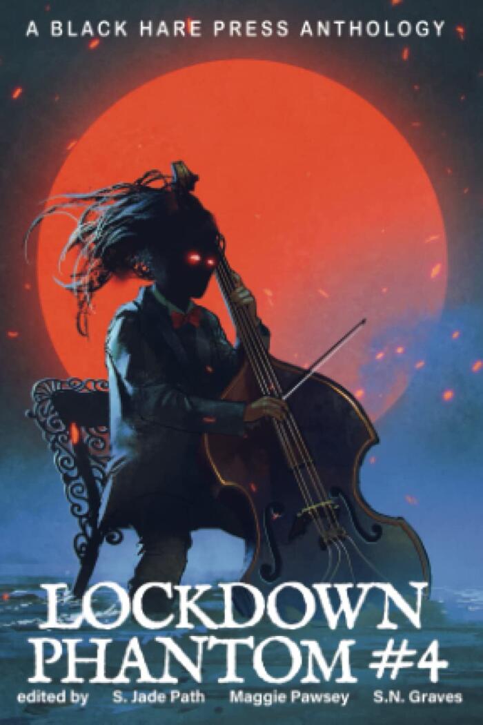 Lockdown: Phantom, #4